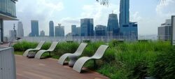 Blk 1D The Pinnacle@Duxton (Bukit Merah), HDB 4 Rooms #594561391